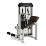 Cybex VR3 Abdominal