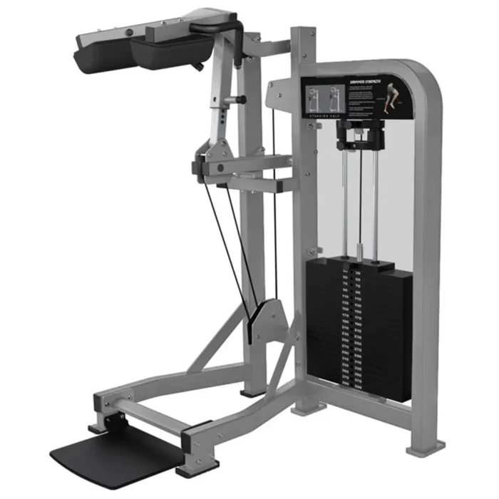 Hammer Strength Select Standing Calf - Image 1