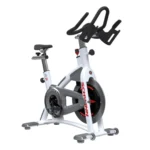 Scwinn AC Performance Chain Drive Indoor Cycle